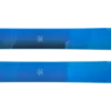 Blizzard Rustler 10 Skis 2023